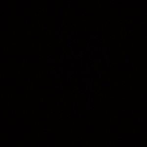 Meet your Posher, Alecia